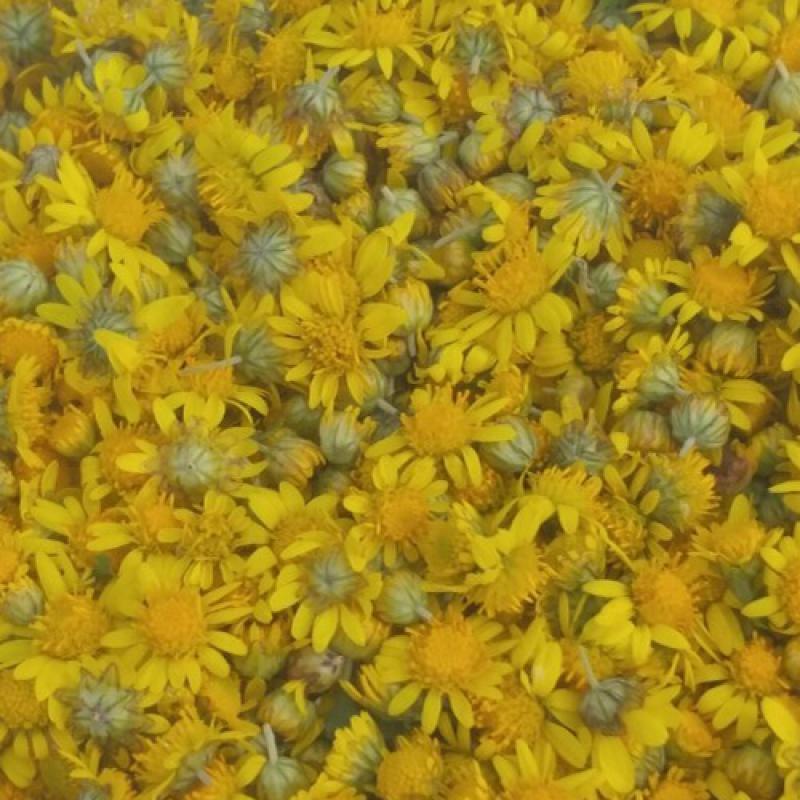 [누리] 감국차 (30g x3통)_썸네일